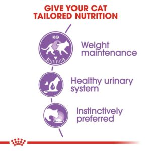 Royal Canin – Wet Sterilised Gravy Cat Wet Food