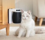 Cat Massage Smart Brush – Self-Cleaning Slicker