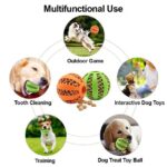Interactive Food Dispensing Chew Toy for Teeth Cleaning