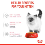 Royal Canin – Wet Kitten Jelly Cat Food