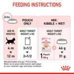 Royal Canin – Wet Kitten Jelly Cat Food