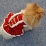 Christmas Costume for Cats & Small Dogs