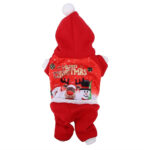 Dog Christmas Costume