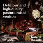 Taste Of The Wild – Pine Forest Canine Recipe with Venison & Legumes