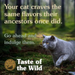 Taste Of The Wild – Rocky Mountain Feline Recipe with Roasted Venison & Smoke