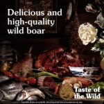 Taste Of The Wild – Southwest Canyon Canine Recipe with Wild Boar