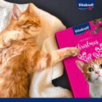 Vitakraft – Christmas Advent Calendar For Cats
