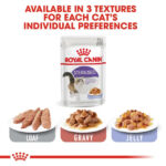 Royal Canin – Wet Sterilised Jelly Cat Wet Food