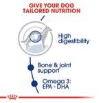 Royal Canin Maxi Adult Dog Dry Food