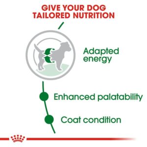 Royal Canin Mini Adult Dog Dry Food - Shaking Tails