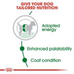 Royal Canin Medium Adult Dog Dry Food