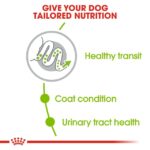 Royal Canin Adult X-Small Dog Dry Food