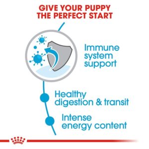 Royal Canin X-Small Puppy Dog Dry Food - Shaking Tails