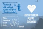 Happy Dog – NaturCroq Puppy Dog Dry Food