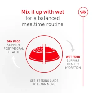 Royal Canin Adult Exigent Fussy Savour Dry Cat Food