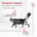 Royal Canin Adult Ageing 11+ Dry Cat Food