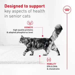 Royal Canin Adult Ageing 11+ Dry Cat Food