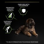 Purina Pro Plan – Large Athletic Puppy Robust Healthy Start Dog Dry Food – Chicken
