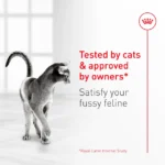 Royal Canin Adult Exigent Fussy Savour Dry Cat Food
