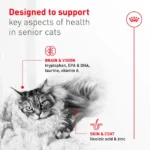 Royal Canin Adult Ageing 11+ Dry Cat Food