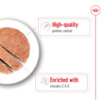 Royal Canin Medium Adult Can Dog Wet Food