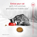 Royal Canin Adult Exigent Fussy Savour Dry Cat Food