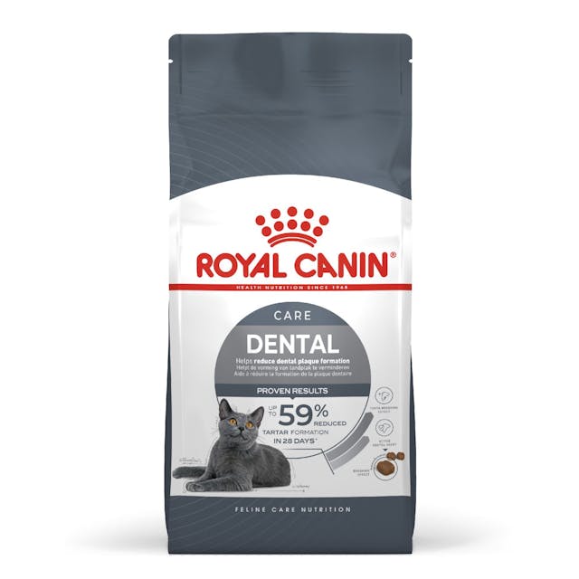 fcn22-hero-image-dry-dental-b1-page2 Royal Canin Adult Dental Care Cat Dry Food