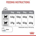 Royal Canin Adult Dental Care Cat Dry Food