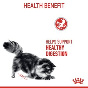 Royal Canin Adult Digestive Care Dry Cat Food