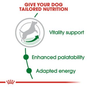 Royal Canin Mini Adult 8+ Dog Dry Food