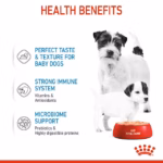 Royal Canin Starter Mother & Babydog Ultra Soft Mousse In Sauce
