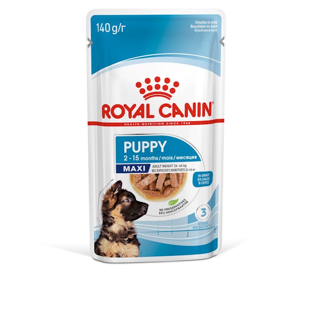 sol-maxi-puppy-cig-wet-packshot-b1 Royal Canin – Wet Maxi Puppy Dog Food