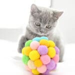 Rainbow Pom-Pom Cotton Cat Ball Toy
