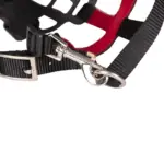 Duvo+ Soft Rubber Dog Muzzle