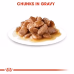 Royal Canin Feline Care Nutrition Hairball Care Wet Cat Food in Gravy - Image 2