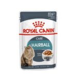 Royal Canin Hairball Care Wet Cat Food in Gravy