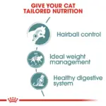 Royal Canin Feline Care Nutrition Hairball Care Wet Cat Food in Gravy - Image 3