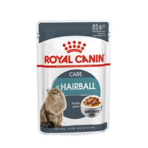 Royal Canin Hairball Care Wet Cat Food in Gravy