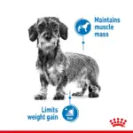 Royal Canin Mini Light Weight Care Adult Dry Dog Food - Image 5